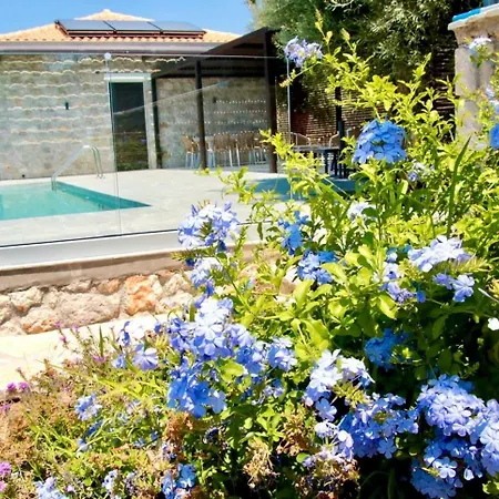 Вилла Carmelia *