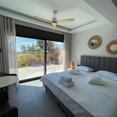 Carmelia *