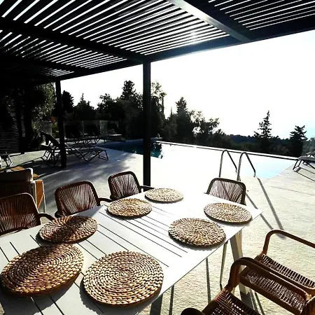 Carmelia *